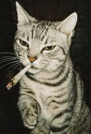 Site hosted by Neocities